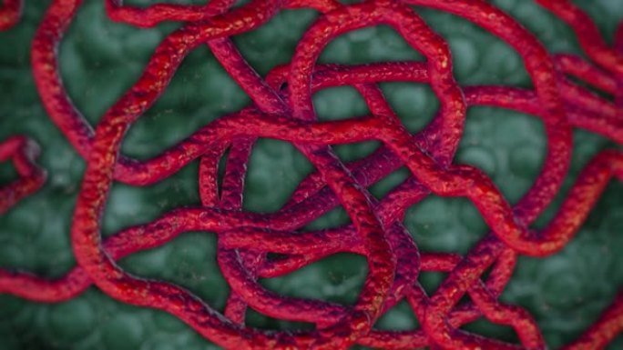埃博拉病毒细胞医药课程片头医疗科研细胞肿