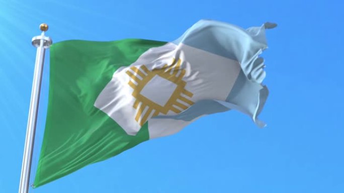 阿根廷Resistencia市旗。循环