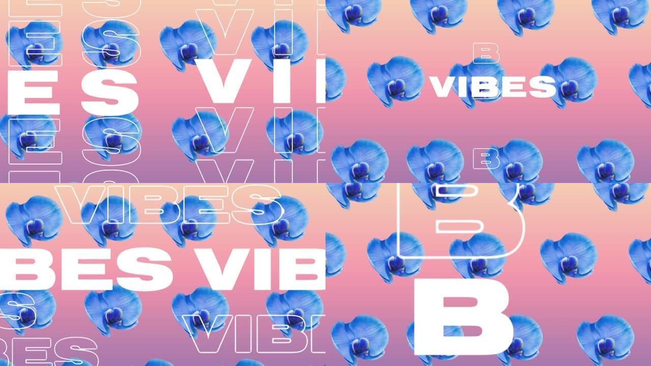 蓝色花朵在粉红色背景上的共鸣文本动画