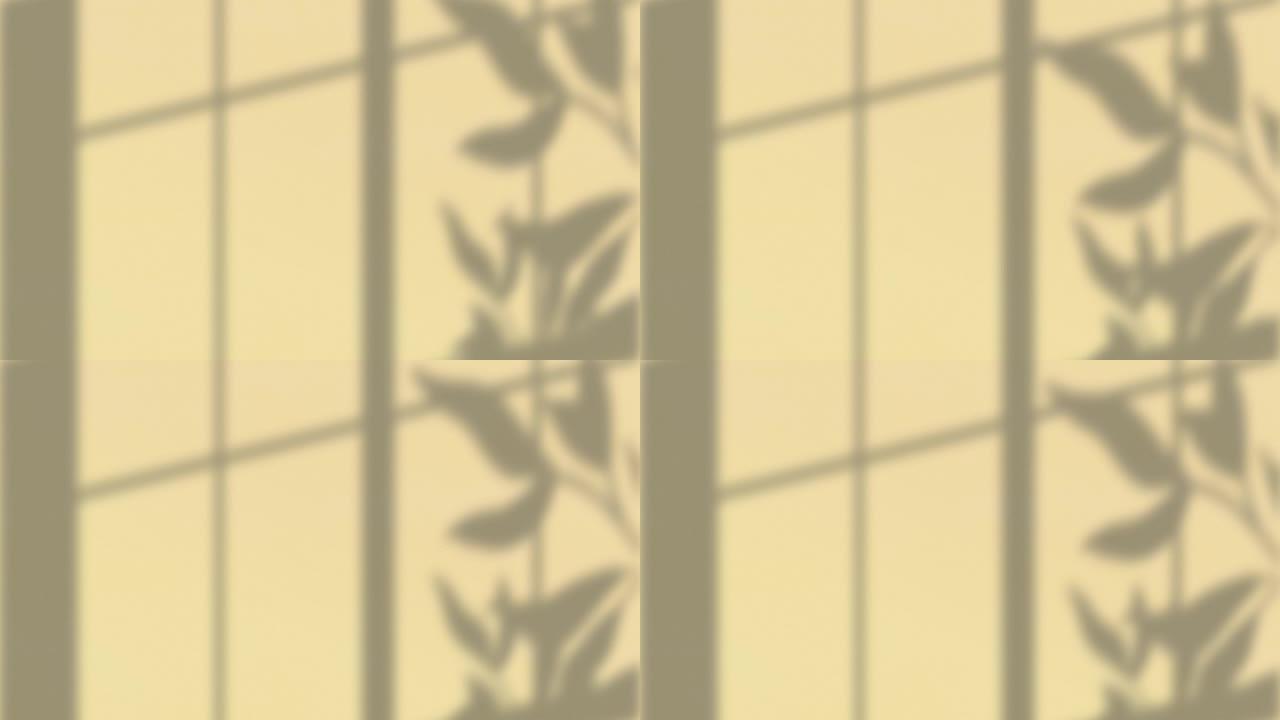 窗框和植物叶子阴影在奶油墙背景上移动的动画