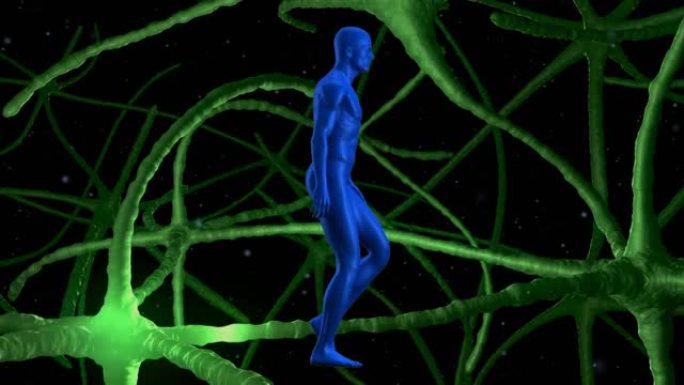人体模型对抗通过神经元的信号行走的数字动画