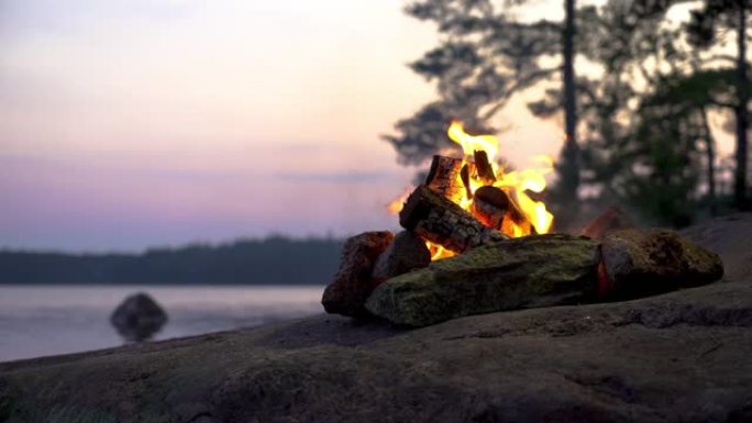 午夜时分，篝火在湖岸的森林中燃烧
