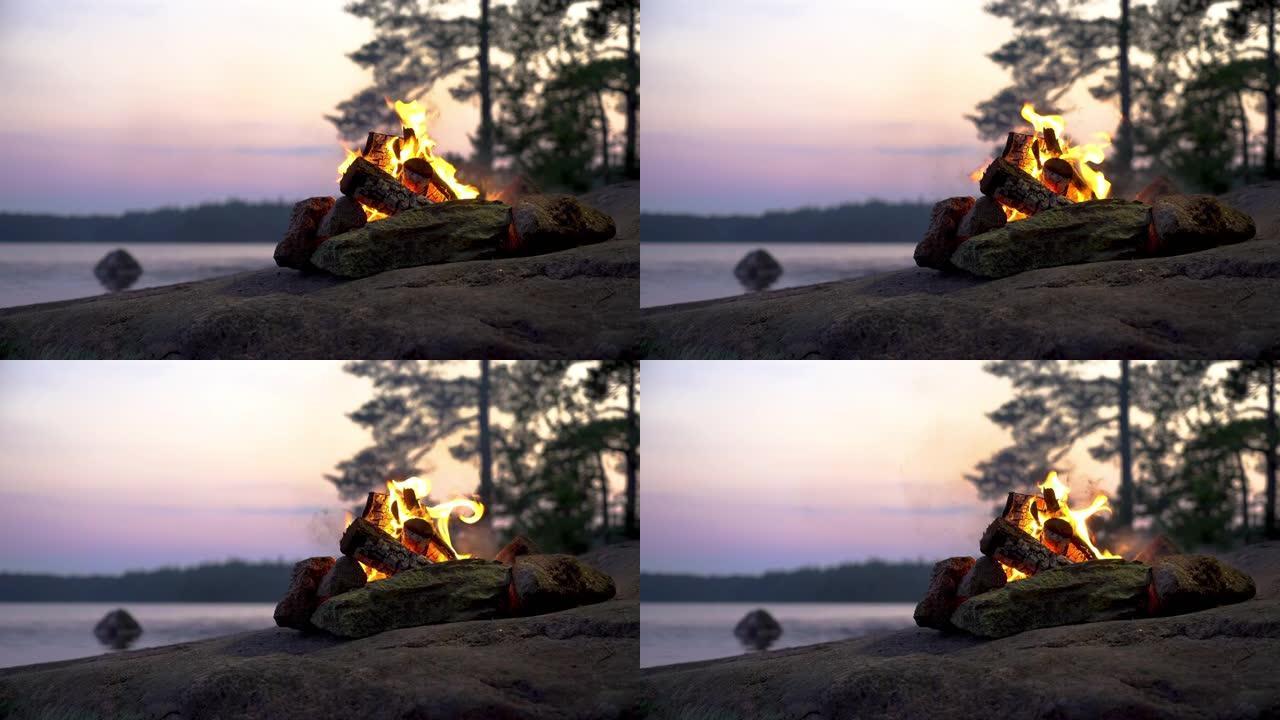 午夜时分，篝火在湖岸的森林中燃烧
