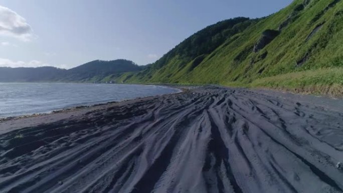 一群鸟会飞。美丽的海景