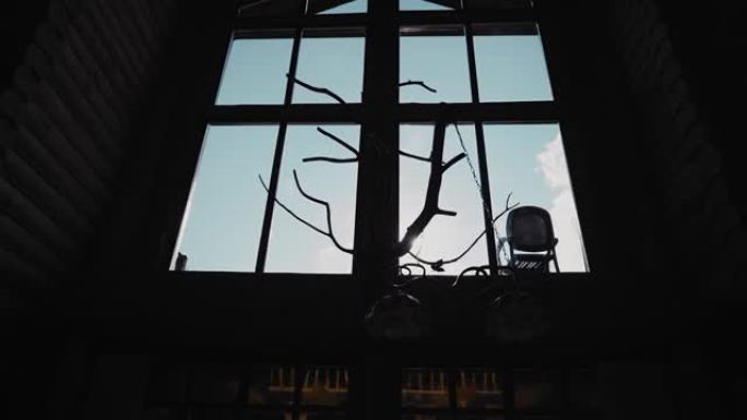 在光窗的背景上，一棵干树的枝形吊灯和花哨的树枝。物体的酷轮廓