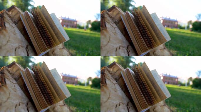 4k视频。一本俄语的书躺在夏季公园的树桩上，风使书页翻动。俄罗斯圣彼得堡