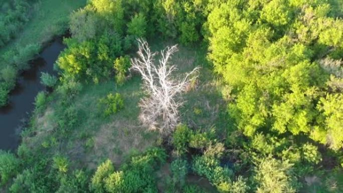 野河空中无人机射击