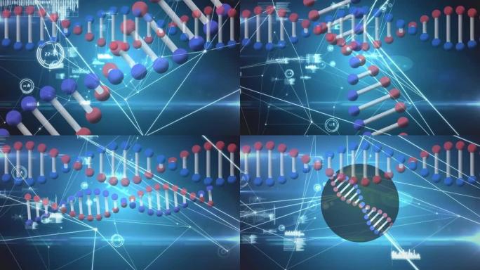 带有连接网络的dna链旋转的动画