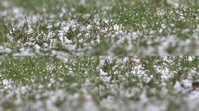 冰雹特写慢动作时落在草地上的冰雹