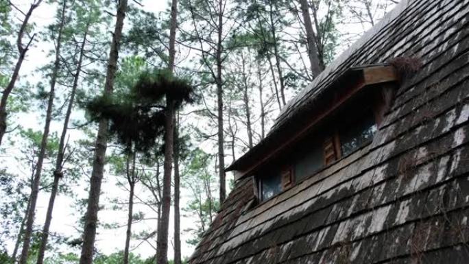 树林中小木屋的木制屋顶和窗户的特写