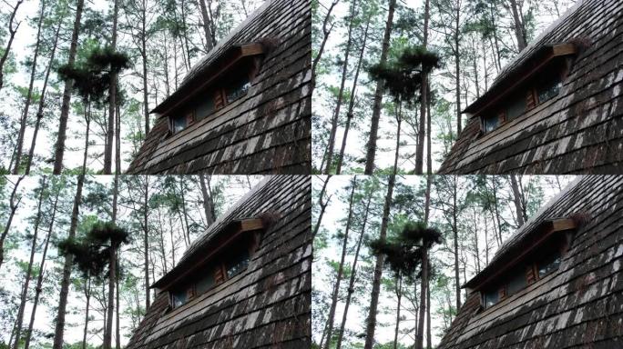 树林中小木屋的木制屋顶和窗户的特写