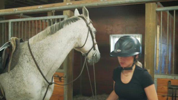 年轻的女教练为她的马做准备