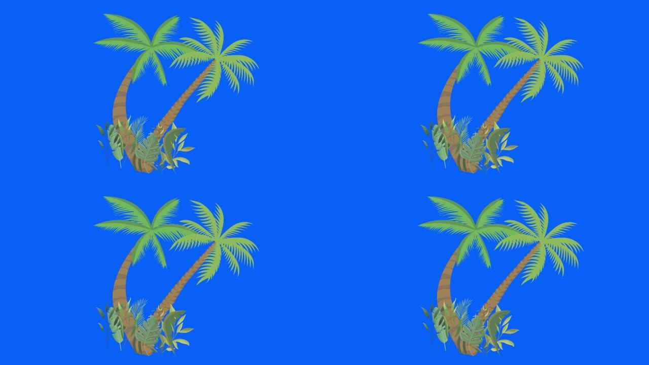 棕榈树随风移动，色键，无缝循环动画