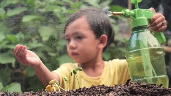 花园中的儿童喷洒植物给水培育生长植物