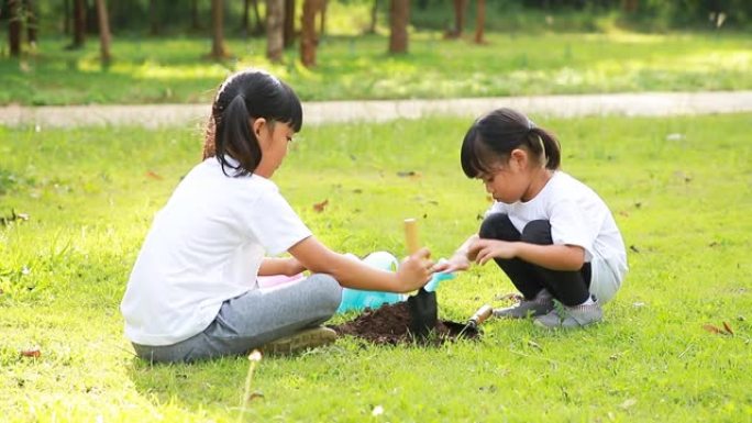 可爱的小女孩亚洲种植小树。