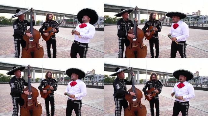 墨西哥音乐家三重奏墨西哥流浪乐队