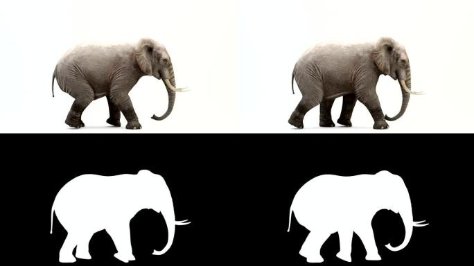 奔跑大象的CG渲染。循环动画。