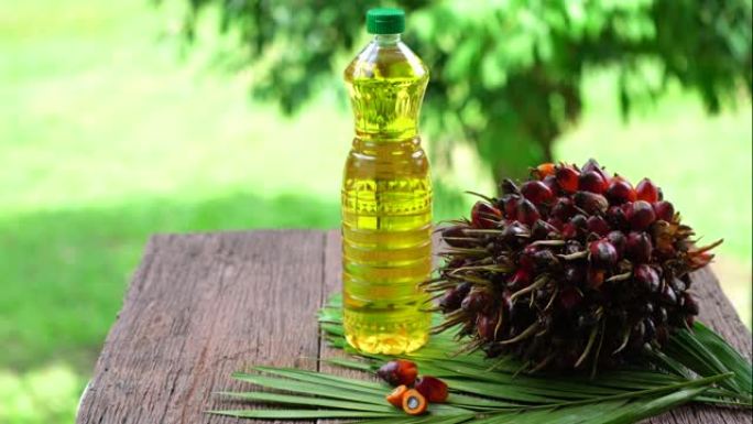 新鲜的油棕榈果和烹饪在玻璃瓶棕榈油上的棕榈叶隔离在模糊的背景。