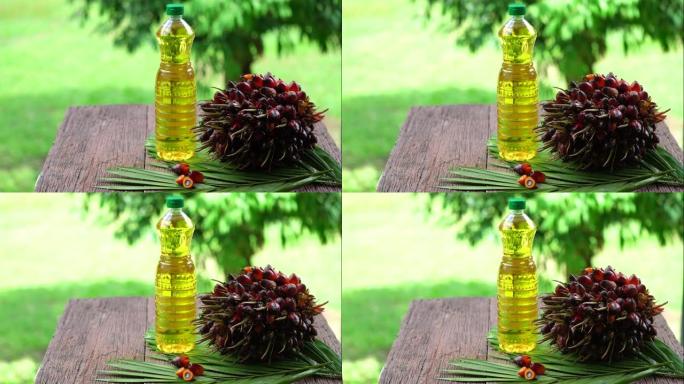 新鲜的油棕榈果和烹饪在玻璃瓶棕榈油上的棕榈叶隔离在模糊的背景。