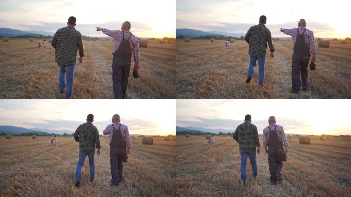 资深父亲与成年儿子一起在农田上散步，年轻女孩在玩耍
