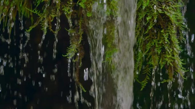 山瀑布。快速的山河。源头山河。图姆宁河是锡霍特-阿林山脉东坡上最大的河流。