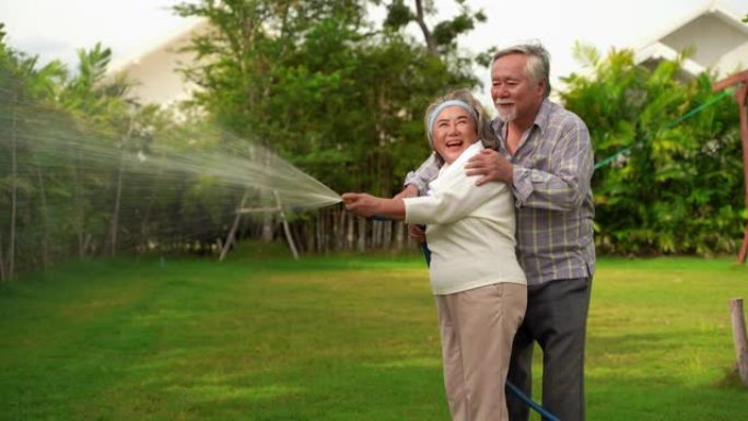 亚洲老年夫妇正在用橡胶管给后院的植物浇水。老年人的爱好
