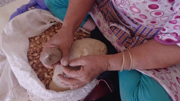 一名摩洛哥妇女打开了摩洛哥坚果的外壳，用于传统的手工摩洛哥坚果油生产。