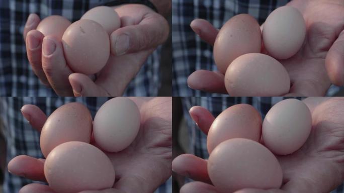 男人的手拿着三个鸡蛋