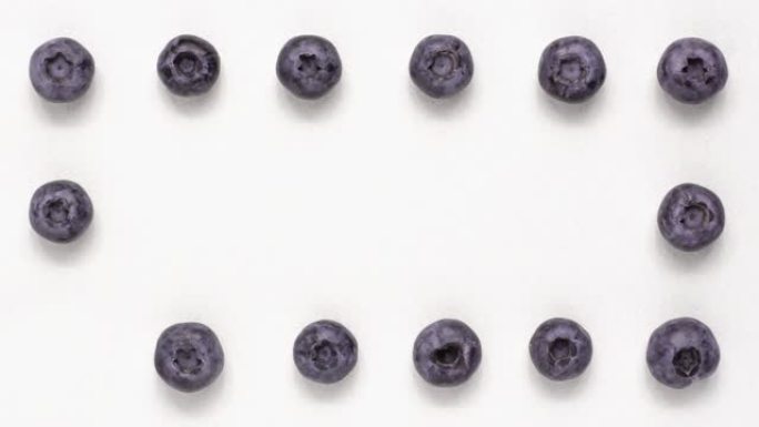 宏观拍摄蓝莓出现并消失在adobe的白色背景上。