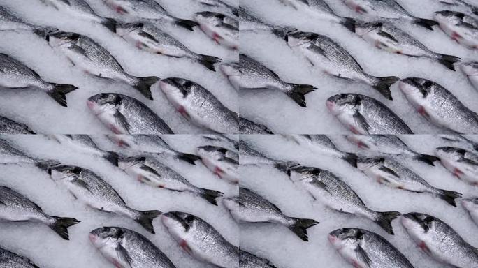 鱼大卖场柜台上的冰上新鲜多拉多鱼，出售新鲜冷冻产品