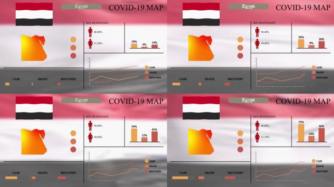 埃及冠状病毒或COVID-19大流行信息图形设计，埃及地图带旗帜，图表和指标显示病毒传播位置，信息图