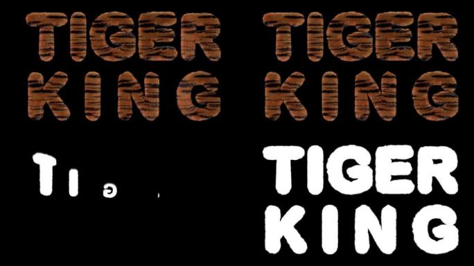 3d动画文本拼写虎王，由愤怒的老虎条纹字母制成