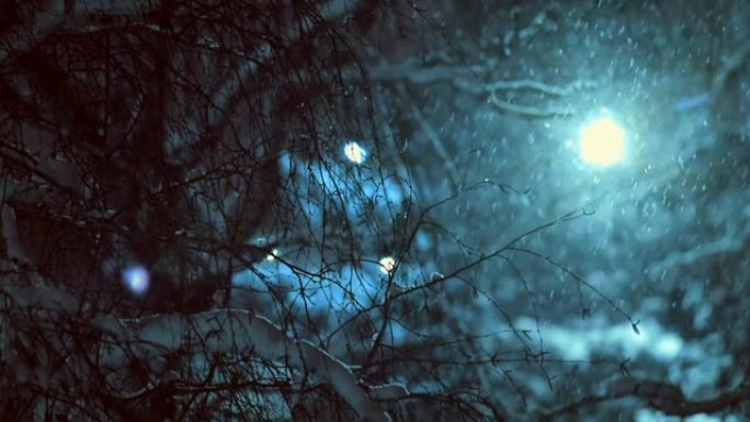 树木和路灯背景下的夜间降雪