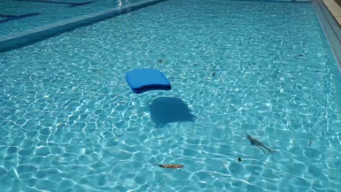 慢动作蓝色，游泳板或踢脚板在白天漂浮在游泳池的水面上
