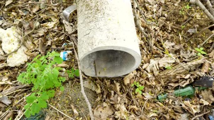 森林地面上的一根大混凝土管