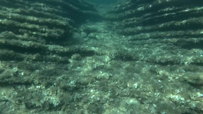 水下沉积岩的层状岩石底部。欧洲黑山亚得里亚海的海底地质