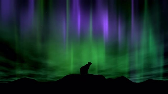 一只猫坐在岩石上，在北极光前舔爪子的剪影