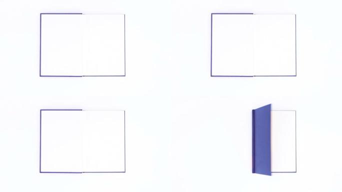 蓝皮书出现并以白色主题打开。停止运动