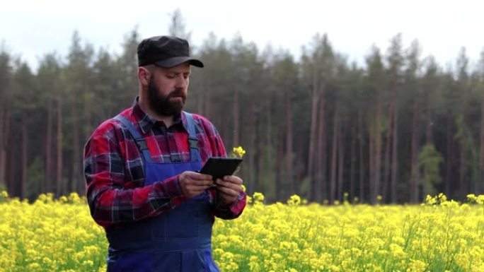 一位农民站在油菜上，用药片检查鲜花是否适合生产生物柴油。农业综合企业