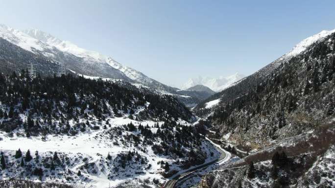 雪域高原的公路汽车