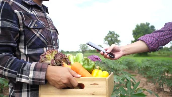 客户使用手机在农场检查有机蔬菜。