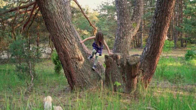 穿着夏装的小女孩在森林里爬树