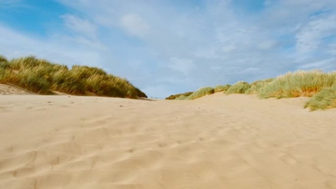 英国英格兰东萨塞克斯郡坎伯金沙海滩沙丘