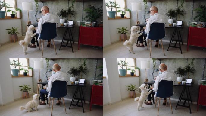 退休的老人在视频通话中，而他的狗只想玩。