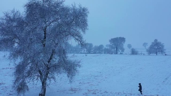 中国吉林雾凇岛雪景