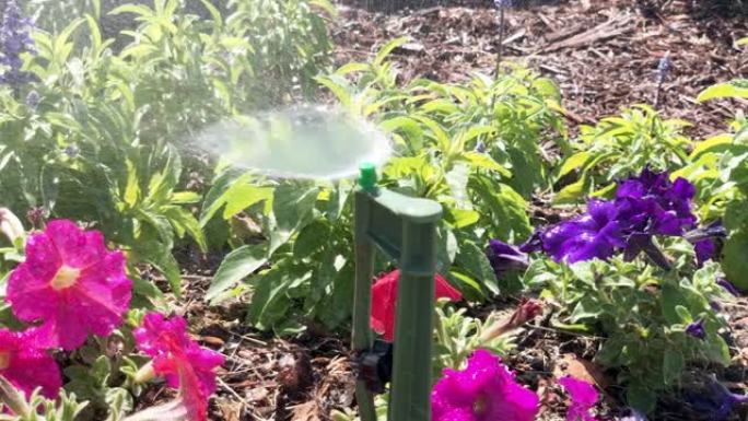自动灌溉洒水系统浇灌景观。