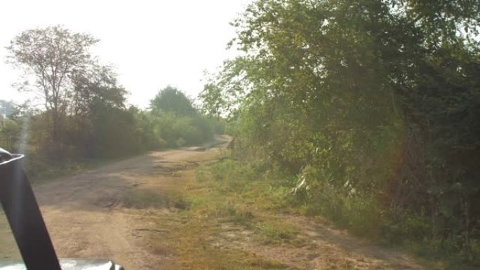 公园里有阴影的地面道路上的现代行驶