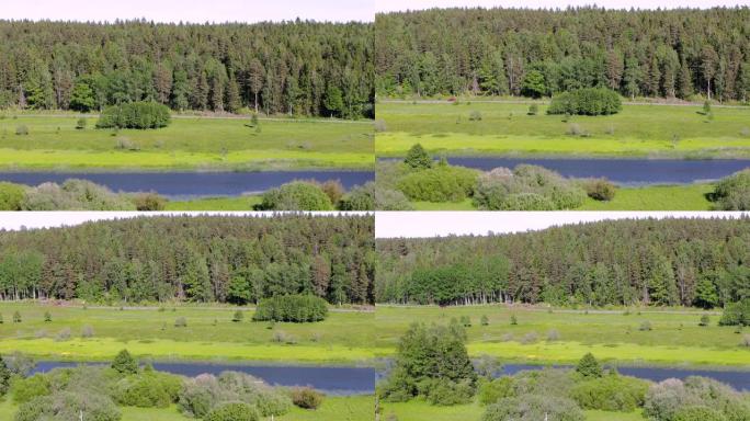 华丽的自然景观。沿柏油路的小河。斯堪的纳维亚。瑞典。欧洲。