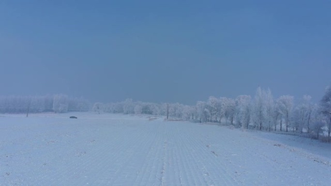 中国吉林雾凇岛雪景