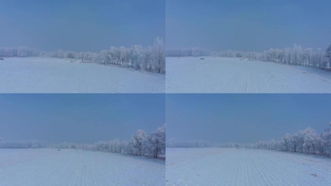 中国吉林雾凇岛雪景